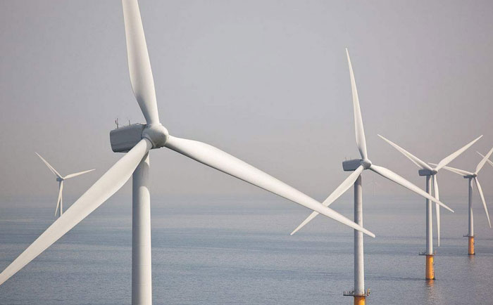 1511775251907095132.jpg 22.jpg