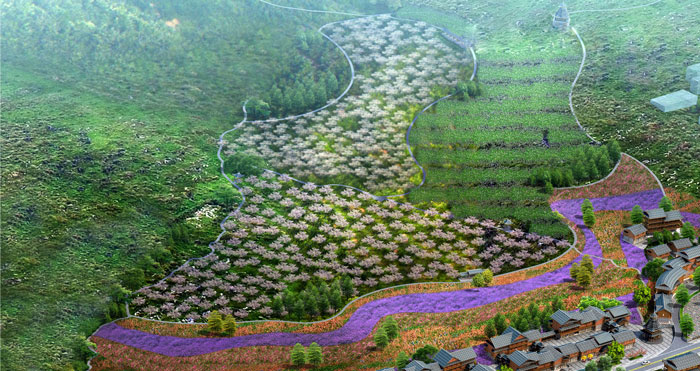 1512443466704020910.jpg 7.jpg