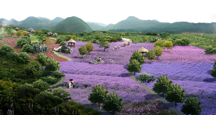 1512443862031094293.jpg 14.jpg