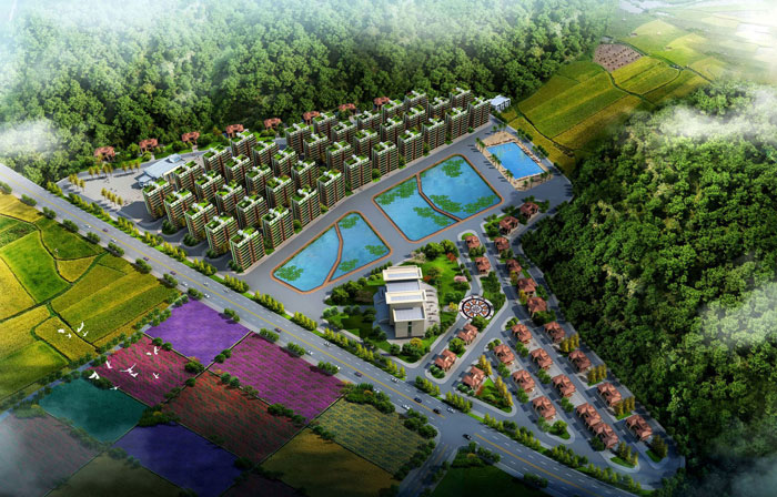 1512444293960051416.jpg 22.jpg